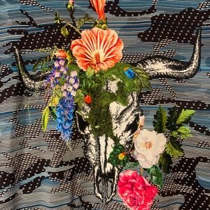 Robert Graham t shirt NWT Casparson 3XL